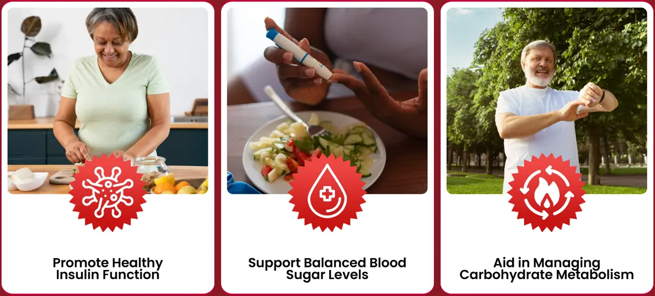 Three Sugar Reset benefit cards: promote healthy insulin function, support balanced blood sugar levels and aid in managing carbohydrate metabolism